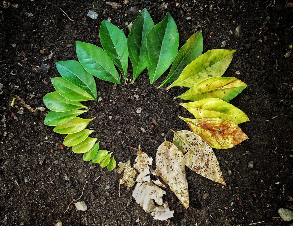 projekt auf baumfühlung