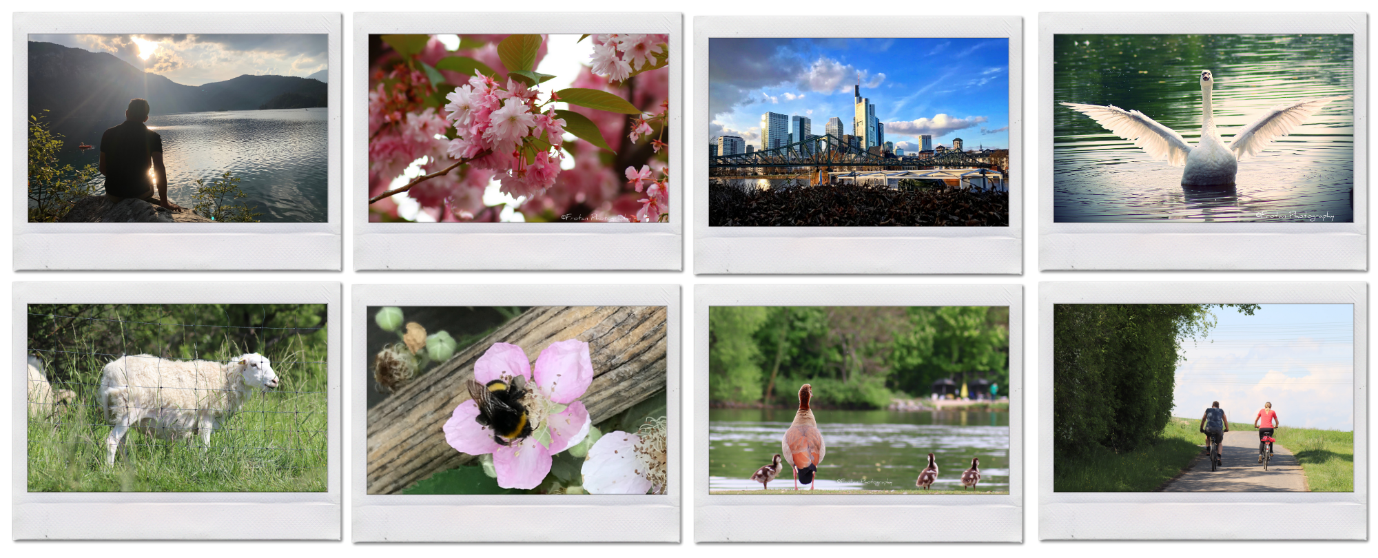 perspektivwechsel foto homepage